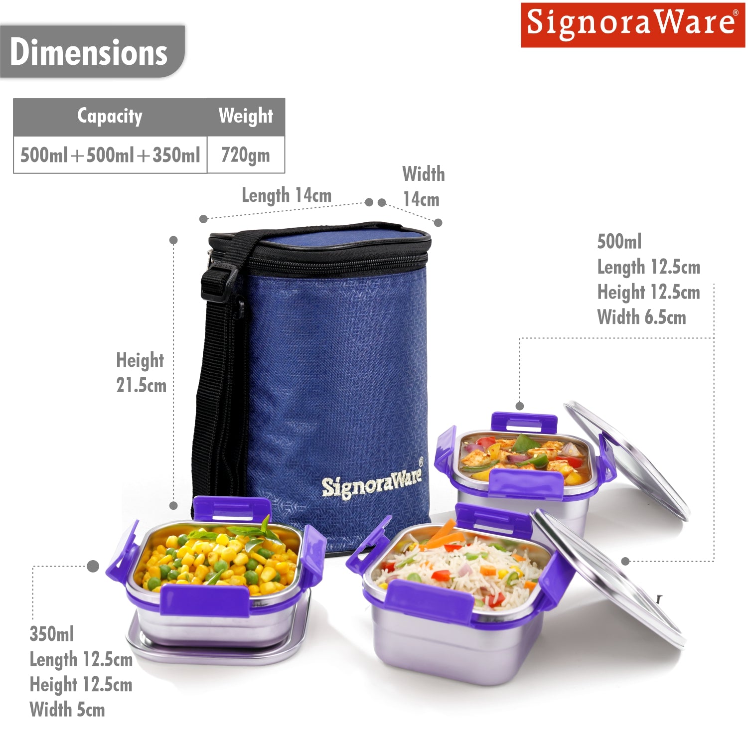 Director Squarex Steel Lunch Box – Signoraware
