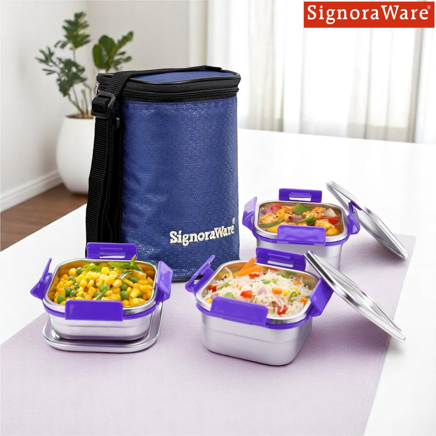 Director Squarex Steel Lunch Box – Signoraware