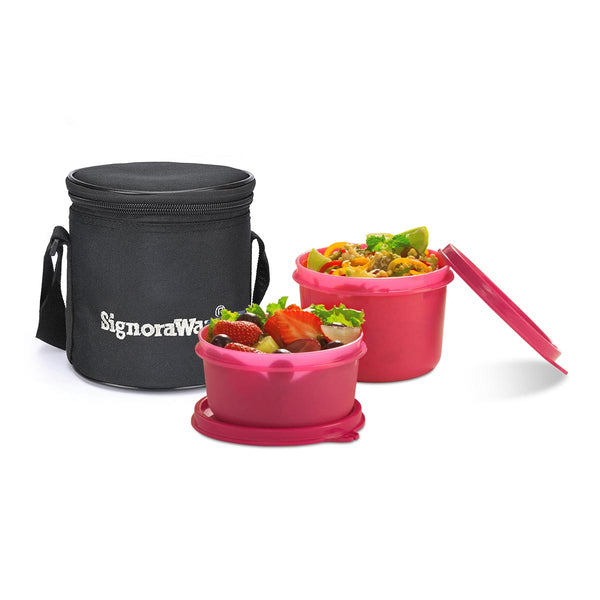 Executive Small Lunch Box (with Bag)
