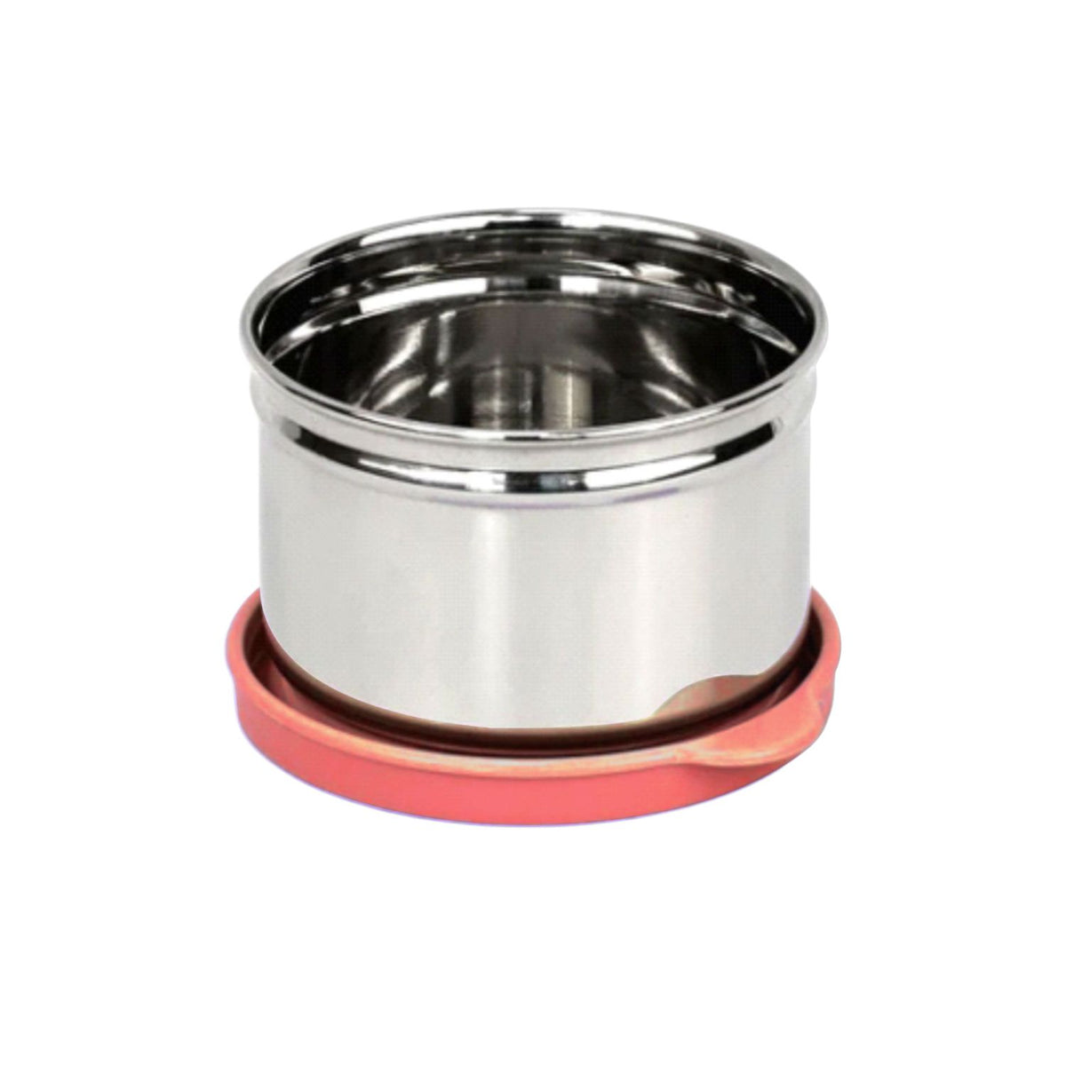Mini Fresh Steel Big Container 170ml