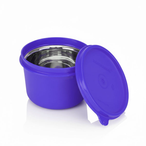 Executive Microsafe Steel Container (Big)