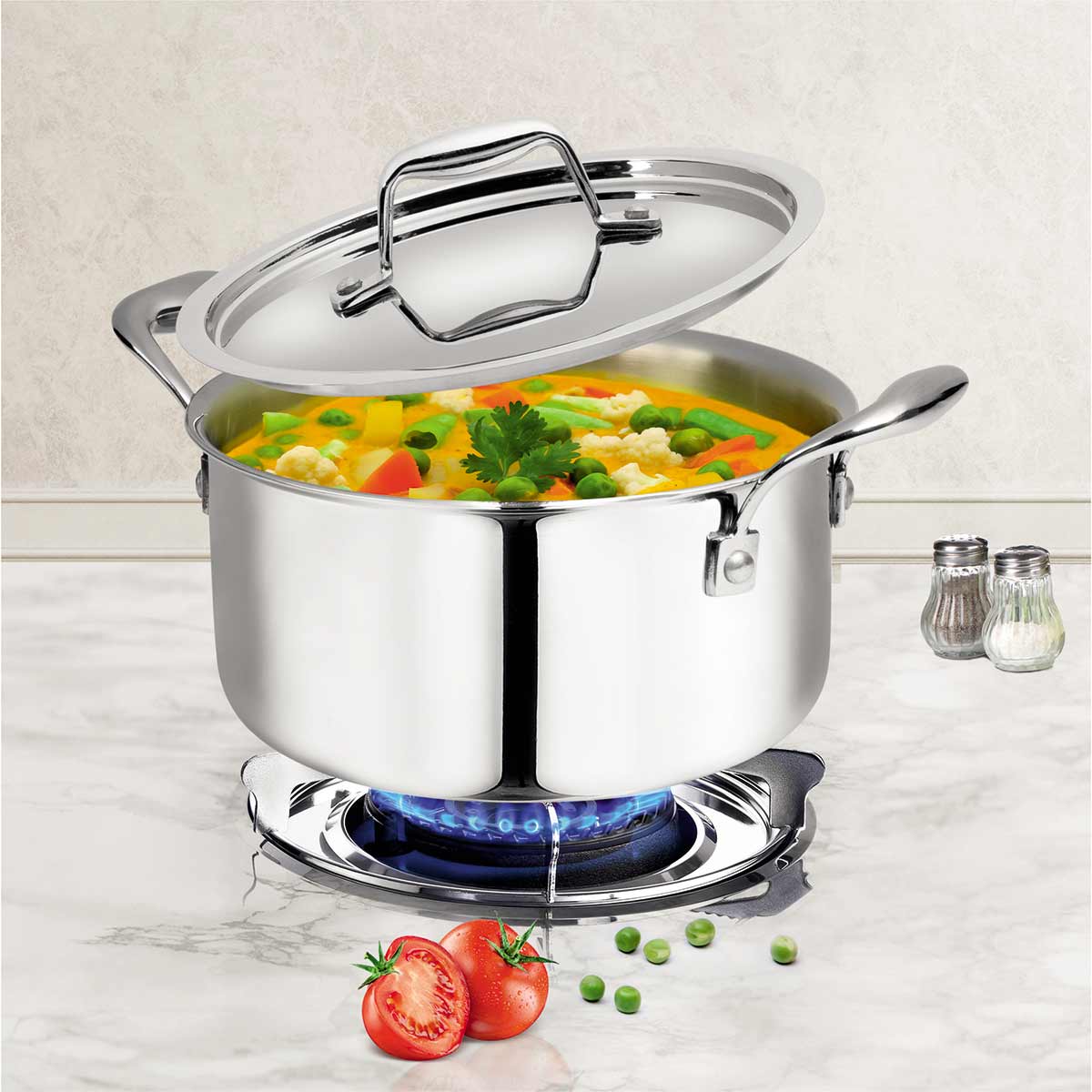 Artista Tri Ply Stewpot 18 cm, 2700ml with Lid | Cooking Pot 18/8 Food Grade Tri Ply Stainless Steel | Durable Soup Pot Stew Simmering Pot